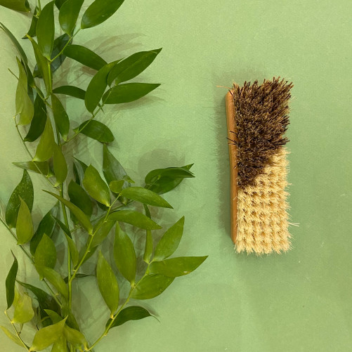 Brosse à légumes naturelle - Tendance Ecolo