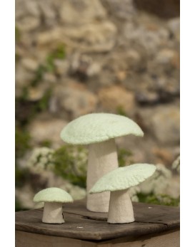 Champignon taille XL